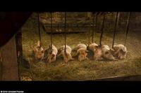 A scene from the film "Nanny McPhee Returns."